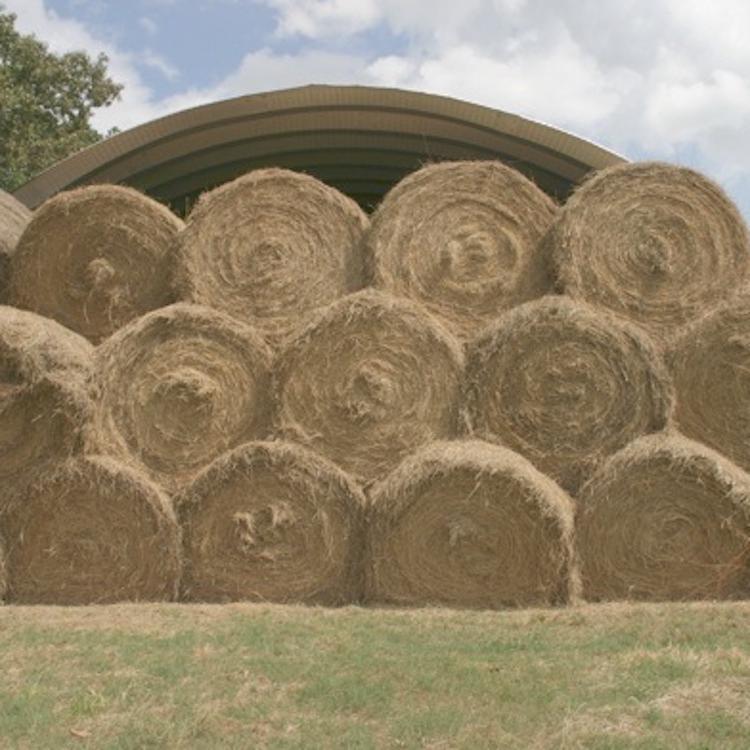 Bartow County farmer wins GFB Hay Contest